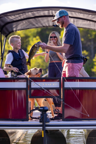 LF 214 (NOUVEAU !!!  )