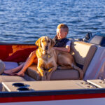 LF 214 (NOUVEAU !!!  )