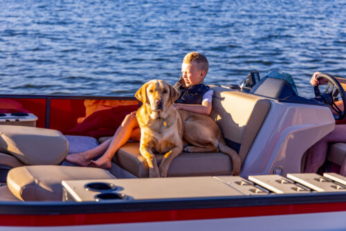 LF 214 (NOUVEAU !!!  )