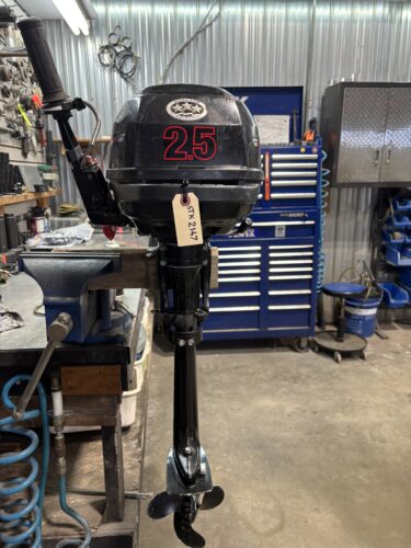 SUZUKI 2.5 HP USAGÉ