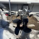 SUNBIRD USAGÉ (1991)