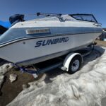 SUNBIRD USAGÉ (1991)