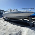 SUNBIRD USAGÉ (1991)