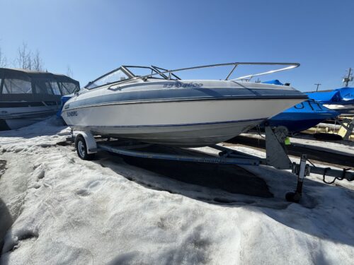 SUNBIRD USAGÉ (1991)